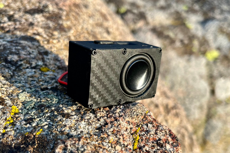 The Single angled on lichen-covered granite, one 1-inch driver with a bronze cone and a red power lead. 1/24 and 1/18 scale RC speaker.